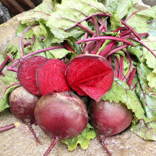 【农家自产！五斤装红菜头紫菜头】新鲜甜菜根5斤装红菜头紫菜头蔬菜农产品多省包邮红甜菜疏菜新鲜采摘，清新可口-觅食坊健康 商品图0