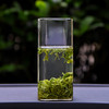 秭归 九畹丝绵茶 一级炒青绿茶-丝懿250g/袋 商品缩略图2