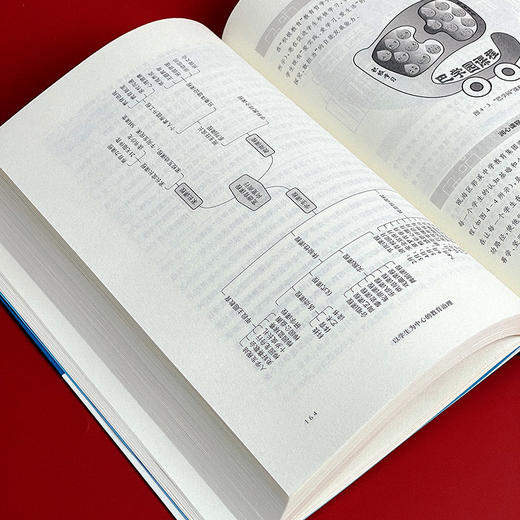 以学生为中心的教育治理 金朝辉 应瞻宇著 区域教育治理 商品图9