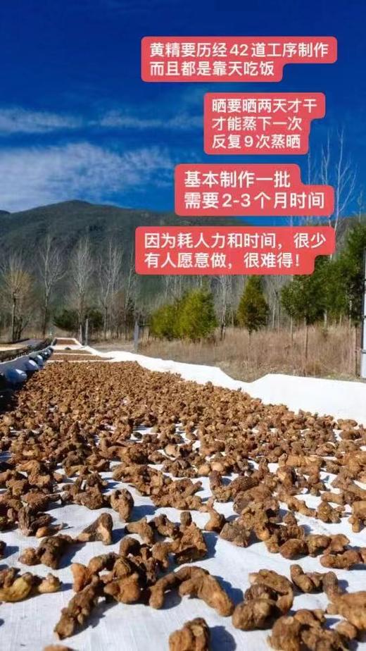 【九蒸九晒云南野生黄精】采用云南深山野生黄精，历经42道工序，用柴火和雪水，在丽江玉龙雪山旁晒场九蒸九晒！非常难得！【对身体的调理功效比较多，详见群内介绍】【DZ-J仓】 商品图6