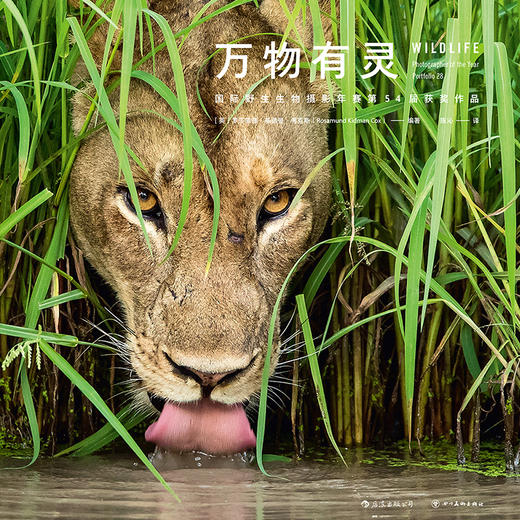 万物有灵：国际野生生物摄影年赛第54届获奖作品 商品图1