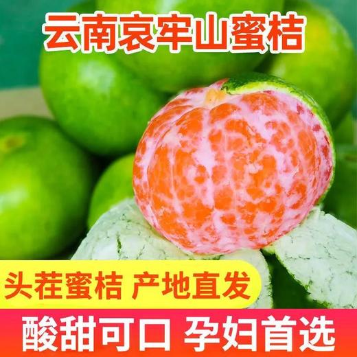 【产地直发！云南无籽蜜桔】3/5/9斤薄皮橘子新鲜水果酸甜桔子整箱-节日送礼物优选Sttt-觅食坊健康 商品图1
