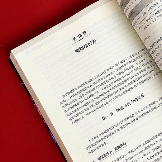情绪心理学 研究与应用 傅小兰 科学解读人类情绪 商品图13
