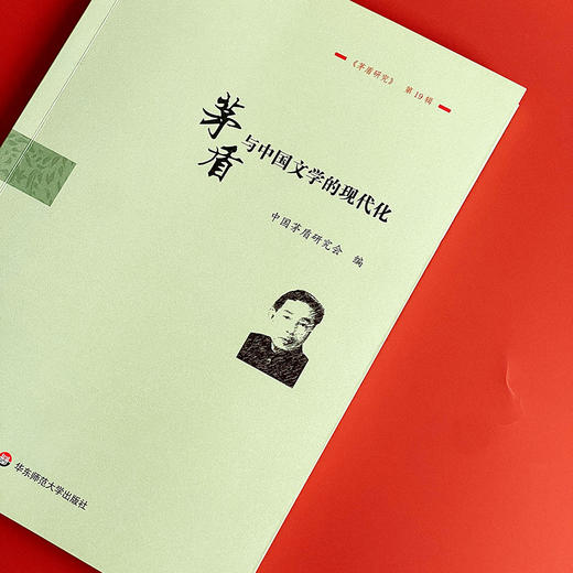 茅盾与中国文学的现代化 《茅盾研究》第19辑 茅盾文学研究 商品图3