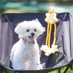 宠物系列弹弹乐玩具