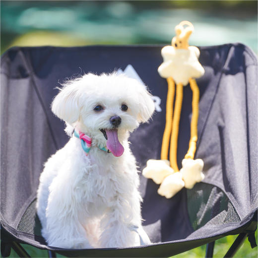 宠物系列弹弹乐玩具 商品图0