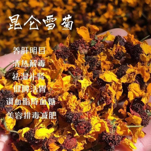 西藏高原雪菊 商品图1