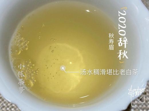 【稀缺级白茶】2020辞秋，香甜如花蜜，茶汤嫩滑如豆腐，带着微微的薄荷气息 商品图8