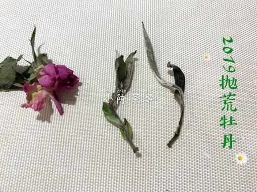 2019抛荒白牡丹《春山空》，像兰花一样馥郁悠长 商品图3