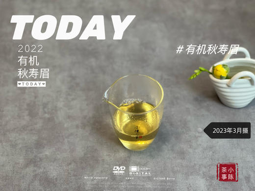 2022有机秋寿眉《初晞》来了，春白茶的清透与秋白茶的馥郁，尽占全了（60克罐装） 商品图4