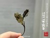 【珍藏级老白茶】极度极度醇厚似浆，2017寒露茶从深深的秋而来！ 商品缩略图2