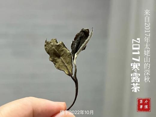 【珍藏级老白茶】极度极度醇厚似浆，2017寒露茶从深深的秋而来！ 商品图2