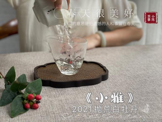 【抛荒白茶品鉴装】2021抛荒高级白牡丹《小雅》带着桂花香，汤水极鲜，极嫩，仿佛豆花初初出炉 商品图7