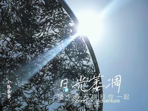 2022清明白牡丹柔美甜馥，清香清长，回甘香浓（1斤收藏装） 商品图2