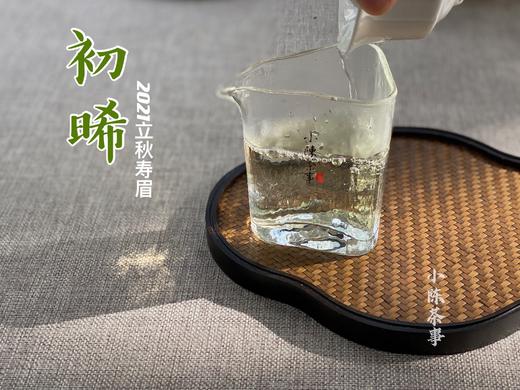 2021有机秋寿眉《初晞》再度归来，温柔的甜花香，冰沁可人（1斤收藏装） 商品图4