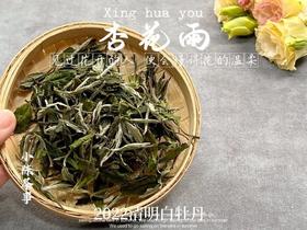 2022清明白牡丹柔美甜馥，清香清长，回甘香浓（1斤收藏装）