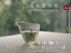 【抛荒白茶品鉴装】2021抛荒高级白牡丹《小雅》带着桂花香，汤水极鲜，极嫩，仿佛豆花初初出炉 商品缩略图9
