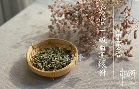 【收藏装】2020一级白毫银针带着米针的外衣，缘来一场无心的插柳