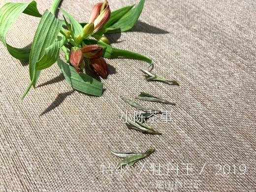 2019高山牡丹王（特级白牡丹）晨露，毫香野韵的高山白茶典范 商品图2