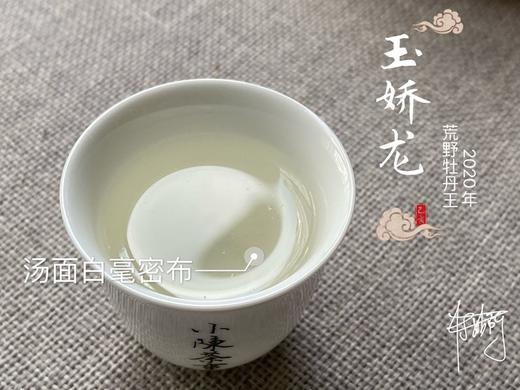 【一斤收藏装】2020荒野牡丹王，太姥山间桀骜不驯的玉娇龙 商品图5