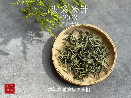 【2023春茶来了】2023头采米针，春白茶“鲜度”的代表之作，极清新、极空灵、也极诱人！（1斤收藏装） 商品图1