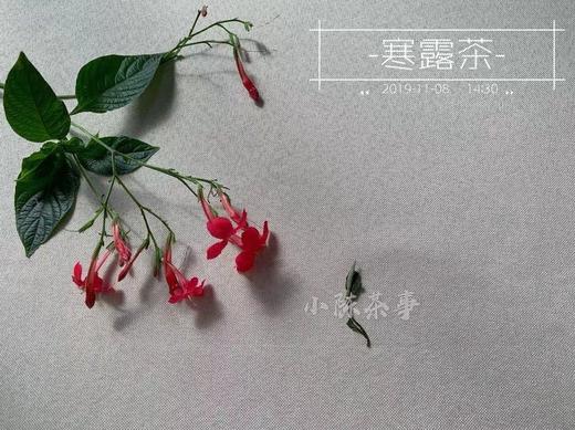 【收藏装】2019寒露茶，汤水莹润，甘淳甜润，冷香里高雅又甜美的花香 商品图2