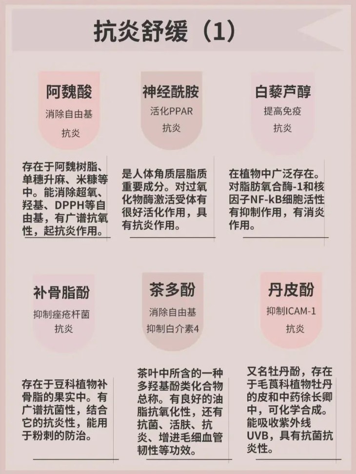 img_v2_07f37df8-4ef2-402d-8713-c465be0c31ag.jpg 图片