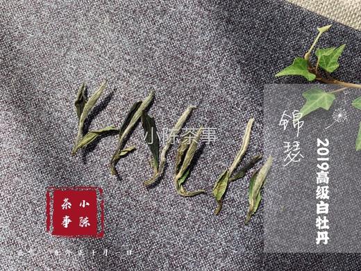 【收藏装】2019高级白牡丹《锦瑟》，秋深日长里，所能忆起的那一抹春光 商品图3