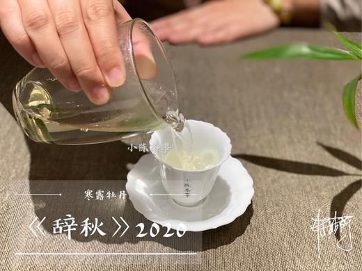 【稀缺级白茶】2020辞秋，香甜如花蜜，茶汤嫩滑如豆腐，带着微微的薄荷气息 商品图7