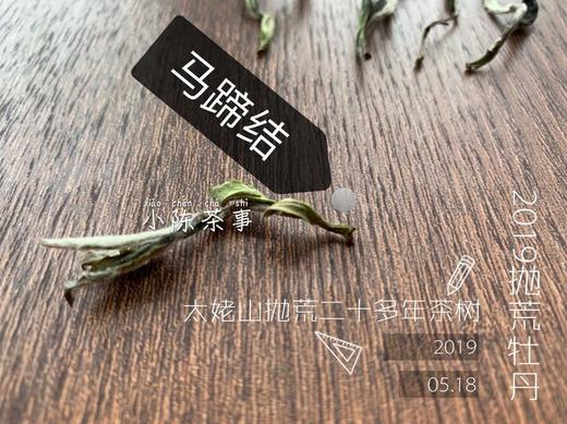 2019抛荒白牡丹《春山空》，像兰花一样馥郁悠长 商品图5