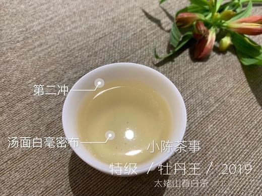 2019高山牡丹王（特级白牡丹）晨露，毫香野韵的高山白茶典范 商品图7