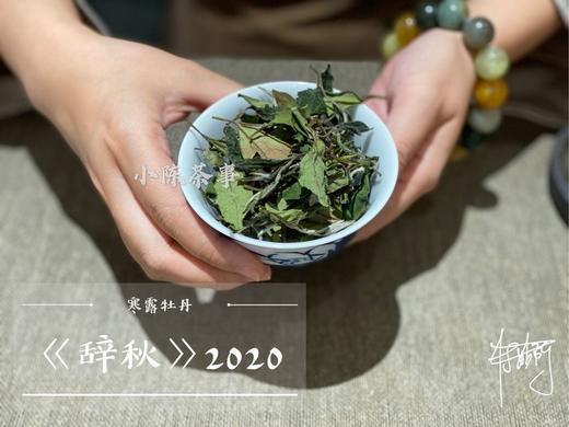 【稀缺级白茶】2020辞秋，香甜如花蜜，茶汤嫩滑如豆腐，带着微微的薄荷气息 商品图5