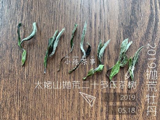 2019抛荒白牡丹《春山空》，像兰花一样馥郁悠长 商品图2