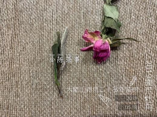 2019抛荒白牡丹《春山空》，像兰花一样馥郁悠长 商品图4