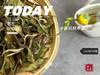 2022有机秋寿眉《初晞》来了，春白茶的清透与秋白茶的馥郁，尽占全了（60克罐装） 商品缩略图3