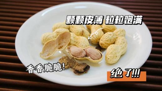 //【 寻源坊精选非遗产品新会陈皮花生】🔥限时活动下单就送❗ 🥜原产地直发🥜好吃到根本停不下来 商品图5