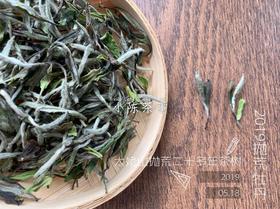 2019抛荒白牡丹《春山空》，像兰花一样馥郁悠长