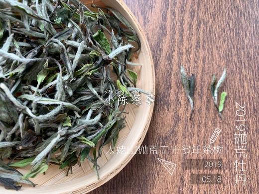 2019抛荒白牡丹《春山空》，像兰花一样馥郁悠长 商品图0