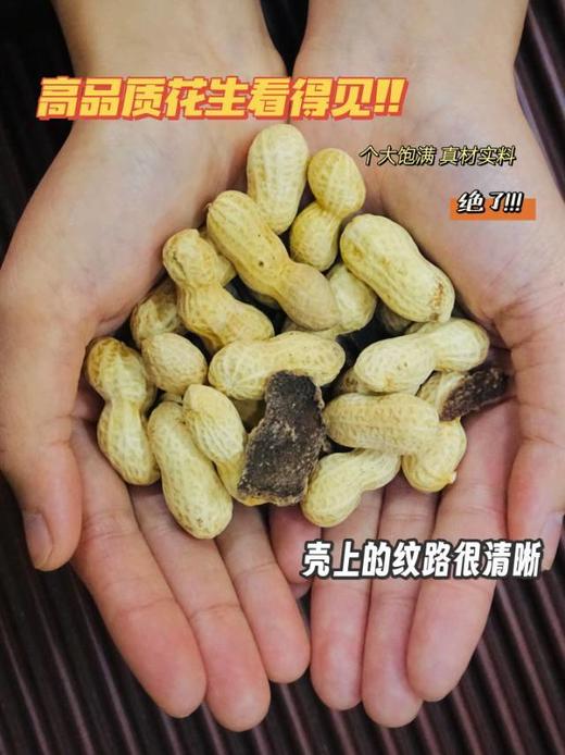 //【 寻源坊精选非遗产品新会陈皮花生】🔥限时活动下单就送❗ 🥜原产地直发🥜好吃到根本停不下来 商品图1