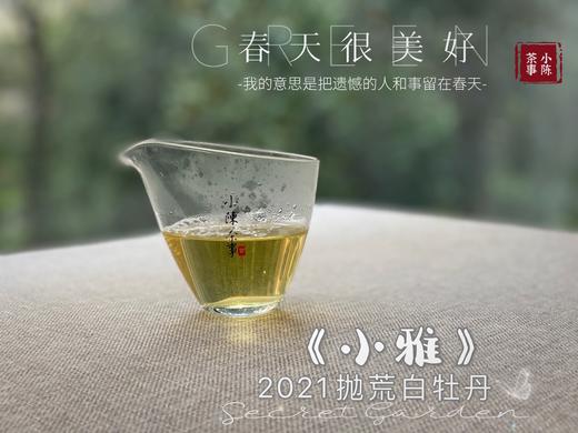【抛荒白茶品鉴装】2021抛荒高级白牡丹《小雅》带着桂花香，汤水极鲜，极嫩，仿佛豆花初初出炉 商品图8