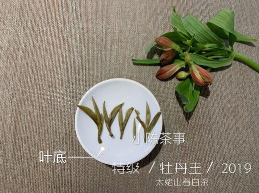 2019高山牡丹王（特级白牡丹）晨露，毫香野韵的高山白茶典范 商品图4