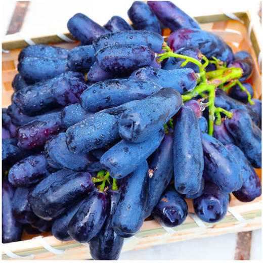 金手指葡萄【约500g】 商品图1