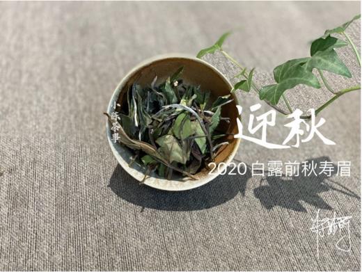 2020《迎秋》，S师傅的手痒之作，一款过喉不忘的秋寿眉 商品图0