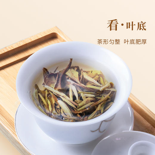 魏氏茶  魏氏陈·白牡丹(2006年份)  10g/盒 商品图2