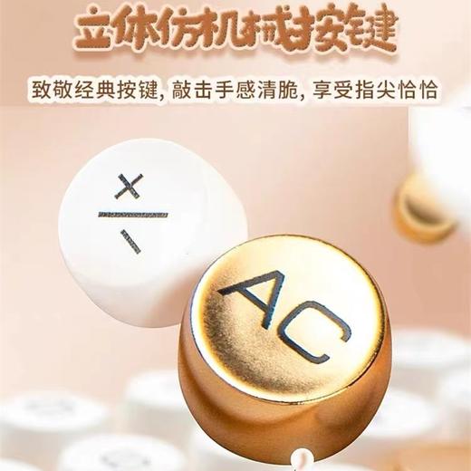 Comix齐心计算器C2023办公用会计糖豆圆点计算器学生大学财务计算机器按键文具办公用品 商品图3