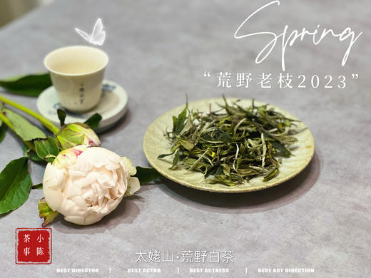 【2023春茶】2023荒野老枝，今年请称呼它荒野白牡丹，够荒，够苍老，荒野气韵厚重深长 商品图1