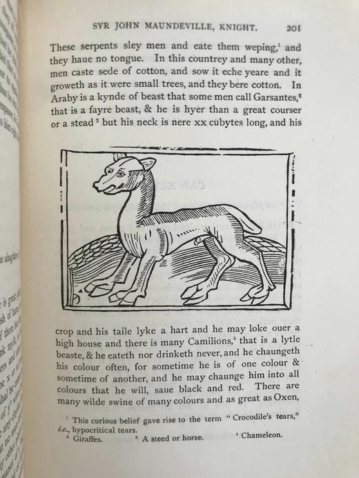 1887年 曼德维尔游记 数十幅插图 漆布精装18开 商品图6