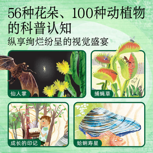 尤瓦·左默艺术科普绘本：全2册 商品图4