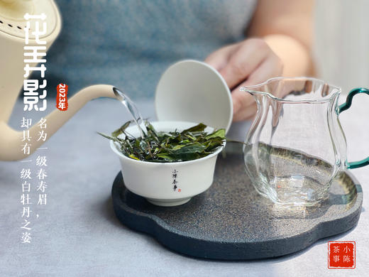 2023一级春寿眉花弄影，水石榕+春兰+广玉兰的香气，具有一级白牡丹之姿，极富春之气韵 商品图7