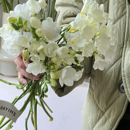 香雪兰 白色 10支/扎 以实物为准 云南基地发货（价格已包含包装费用） 商品图2